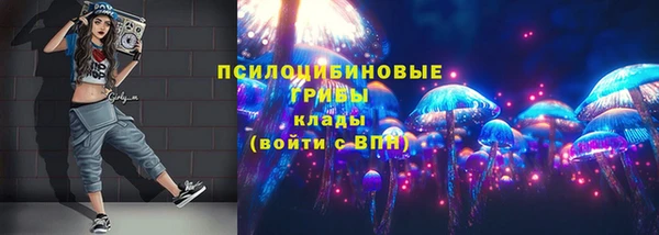 метадон Богородицк