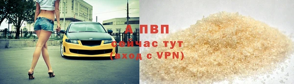 ECSTASY Богородск