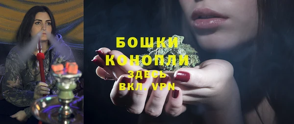 ECSTASY Богородск