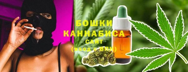 ECSTASY Богородск
