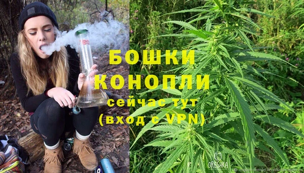 ECSTASY Богородск