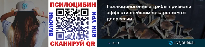 закладки  Кодинск  Галлюциногенные грибы Psilocybe 